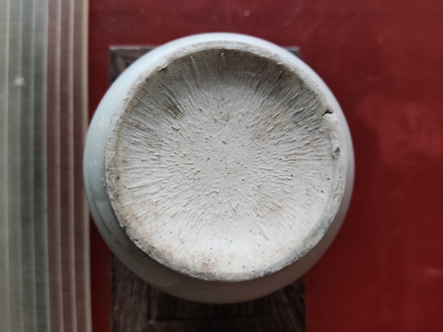 古玩陶瓷清代白釉三系壺拍賣,當(dāng)前價(jià)格188元