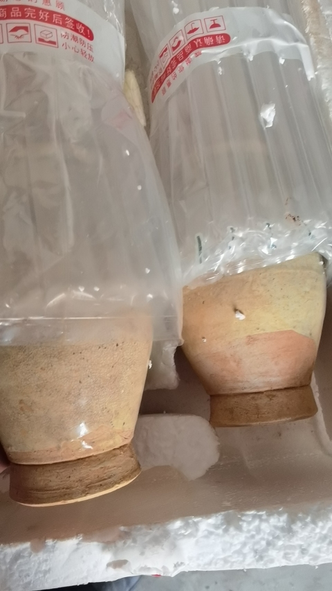 古玩陶瓷青白釉貼塑人物龍紋長頸瓶拍賣，當前價格3600元