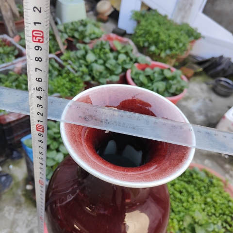 古玩陶瓷清晚期(150件)郎紅釉觀音大瓶拍賣,當(dāng)前價(jià)格28000元