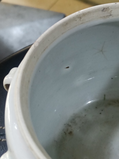 古玩陶瓷晚清民國墨彩花卉詩文粥罐拍賣,當前價格580元