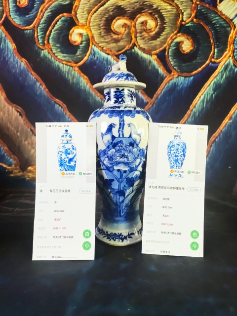 古玩陶瓷【域鑒優品折扣放漏】光緒·青花洞石花鳥紋雞腿瓶拍賣，當前價格3960元