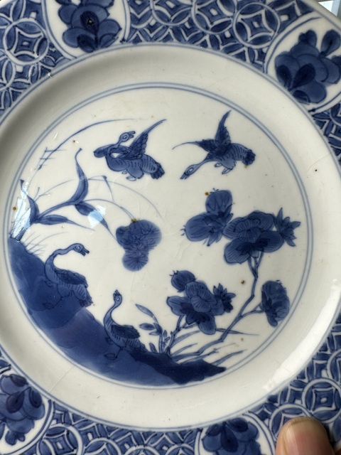古玩陶瓷康熙·青花飛鳴食宿圖折沿盤拍賣，當前價格1800元