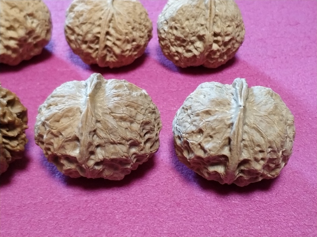 古玩雜項文玩核桃拍賣,當前價格660元