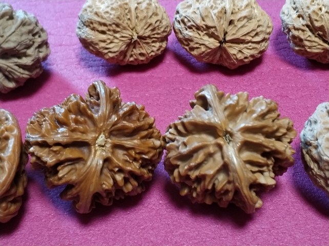古玩雜項文玩核桃拍賣,當前價格660元