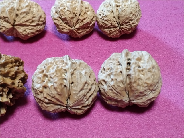 古玩雜項文玩核桃拍賣,當前價格660元