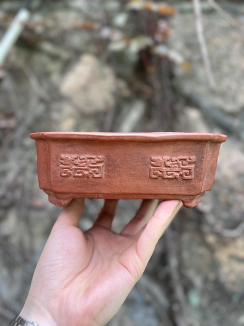古玩陶瓷紫砂夔龍紋水仙花盆拍賣，當前價格2800元