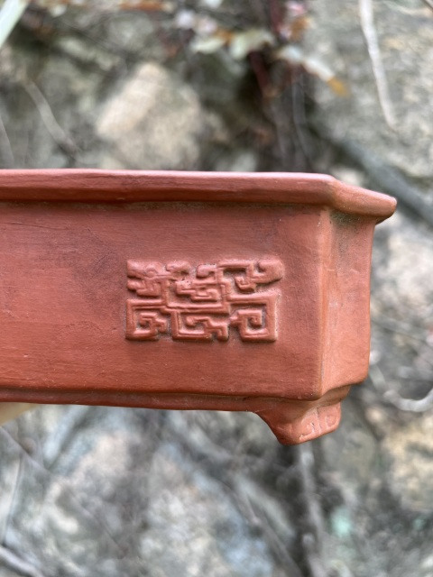 古玩陶瓷紫砂夔龍紋水仙花盆拍賣，當前價格2800元