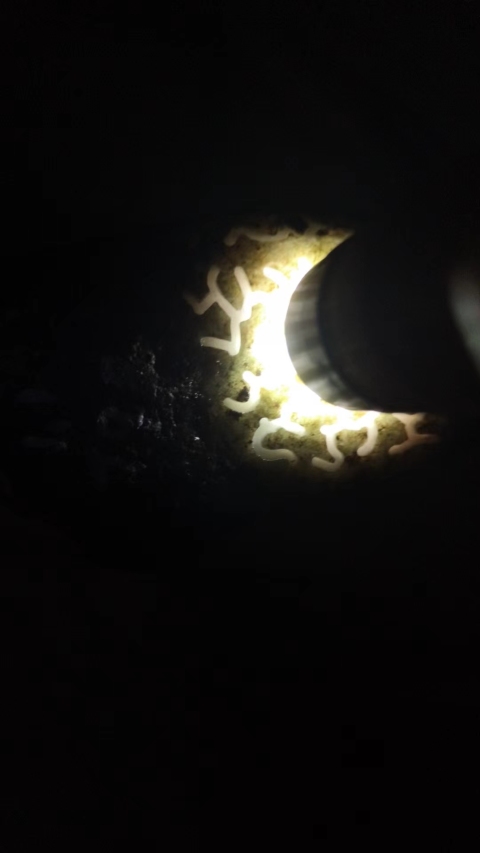 古玩玉器天然翡翠原石料拍賣,當前價格1500元