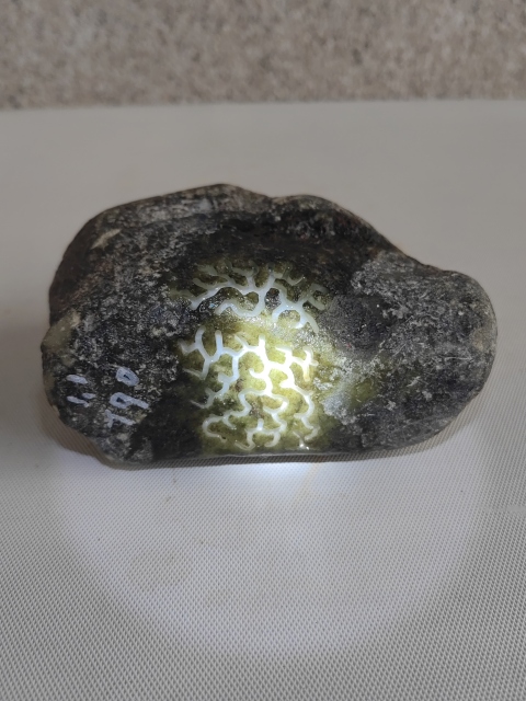 古玩玉器天然翡翠原石料拍賣,當前價格1500元