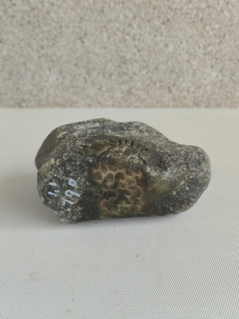 古玩玉器天然翡翠原石料拍賣,當前價格1500元
