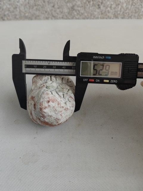 古玩玉器天然翡翠原石料拍賣,當前價格260元