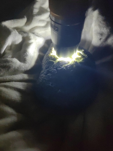 古玩玉器天然翡翠原石料拍賣，當前價格220元