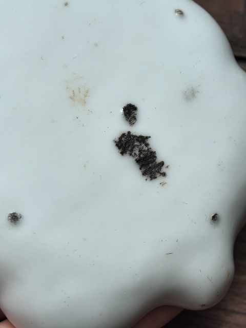 古玩陶瓷清中期白釉仿生瓷樹(shù)葉形筆舔拍賣,當(dāng)前價(jià)格3600元