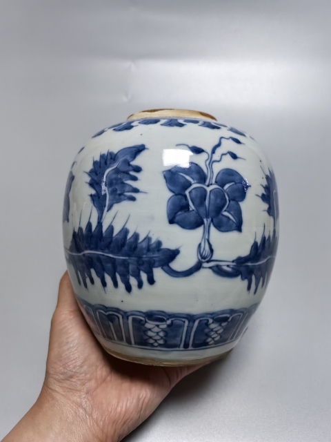 古玩陶瓷康熙·青花花卉紋罐真品鑒賞圖