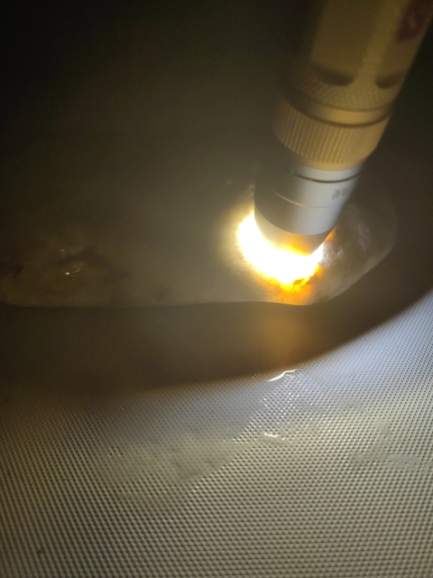 古玩玉器和田玉籽料原石拍賣,當前價格260元