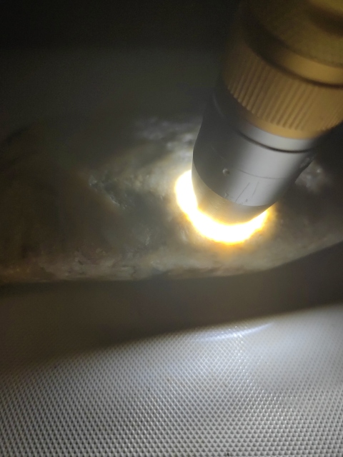 古玩玉器和田玉籽料原石拍賣,當前價格260元