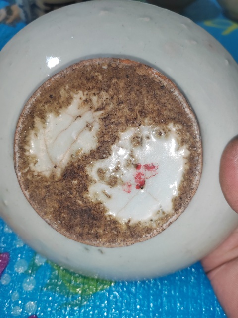古玩陶瓷青花花卉紋盤拍賣，當前價格199元