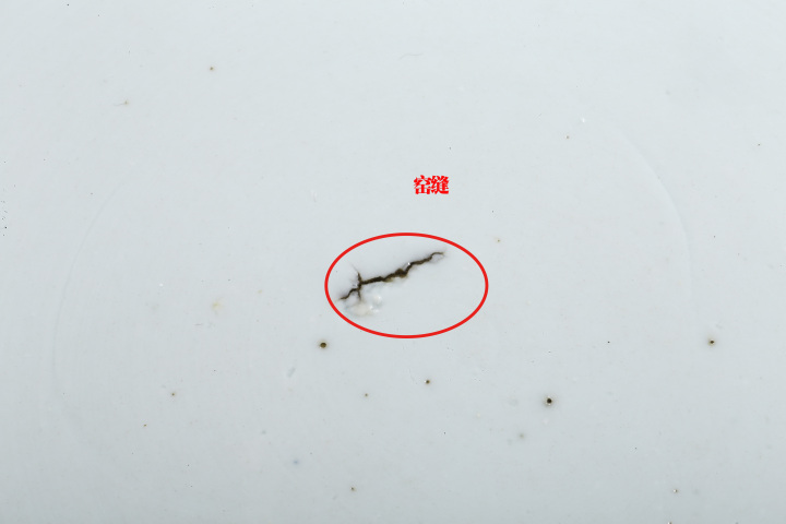 古玩陶瓷清康熙·大盤青花洞石花卉紋折沿盤拍賣，當(dāng)前價(jià)格2980元
