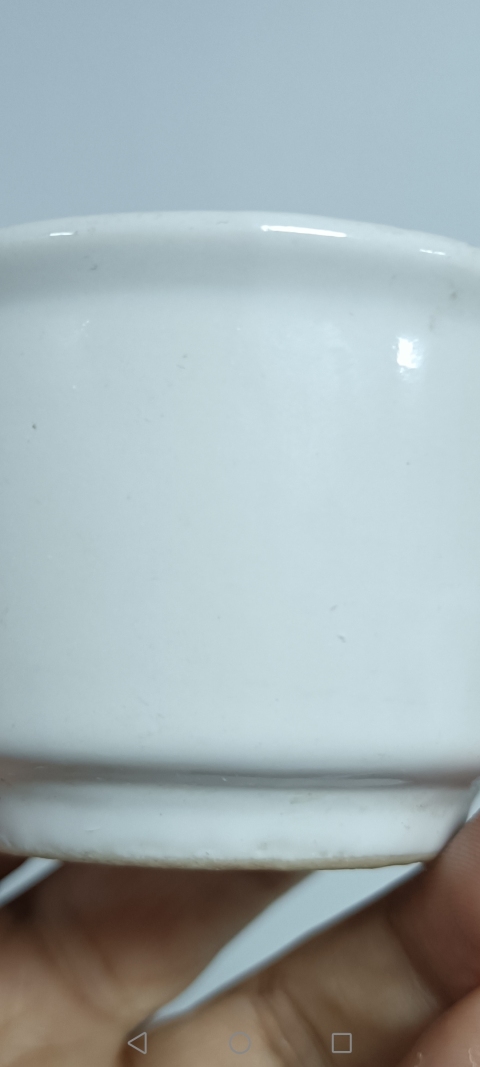 古玩陶瓷清末民初，白釉唇口杯拍賣，當前價格100元
