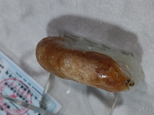 古玩雜項玉掛件拍賣,當前價格8880元