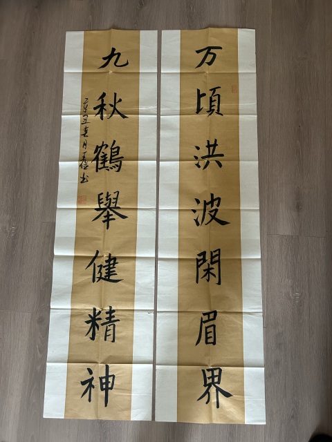 古玩字畫王儉《書法》對聯拍賣,當前價格198元