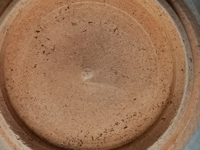古玩陶瓷元末明初，青花斗笠碗拍賣，當前價格999元