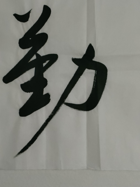 古玩字畫愛新覺羅啟航行書作品拍賣，當前價格180元