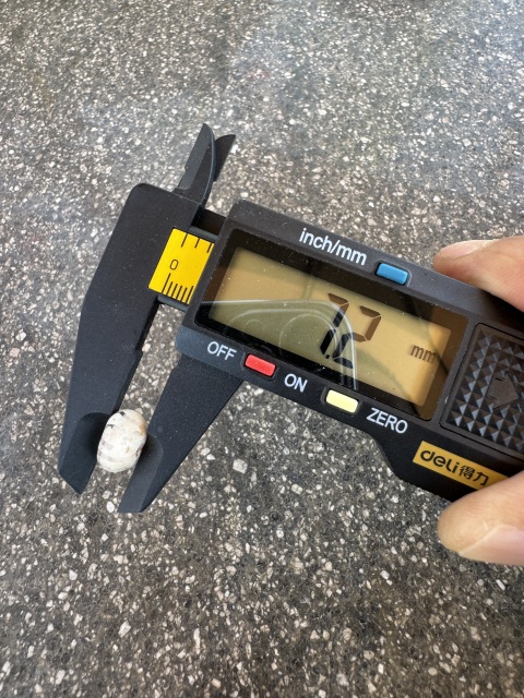 古玩雜項漢代鑲蝕珠，奶皮沁拍賣，當前價格460元