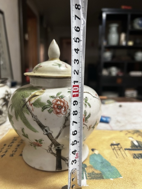 古玩陶瓷淺降彩花鳥紋將軍罐拍賣，當前價格999元
