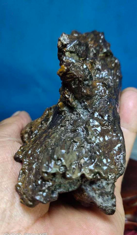 古玩雜項撒哈拉沙漠樹**擺件拍賣，當前價格228元