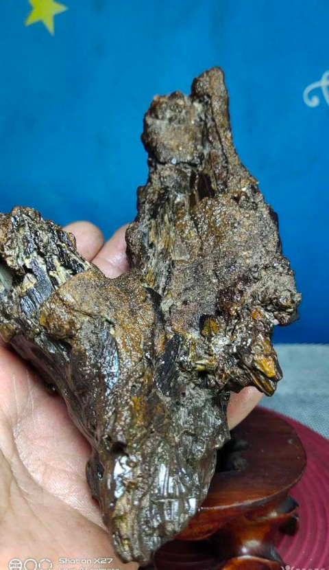 古玩雜項撒哈拉沙漠樹**擺件拍賣，當前價格228元