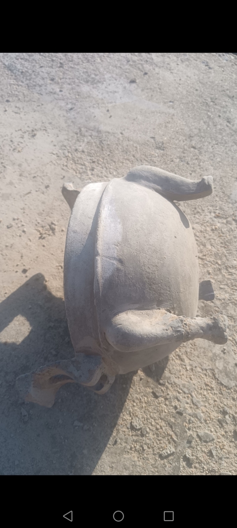 古玩陶瓷戰國～灰陶三足鼎【館藏品】拍賣，當前價格588元