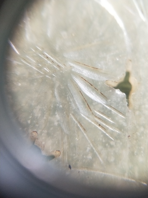古玩玉器清 提籃玉佩拍賣，當前價格1000元