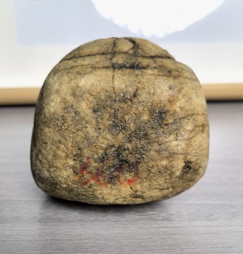 古玩雜項660克 緬甸翡翠原石拍賣，當(dāng)前價格290元