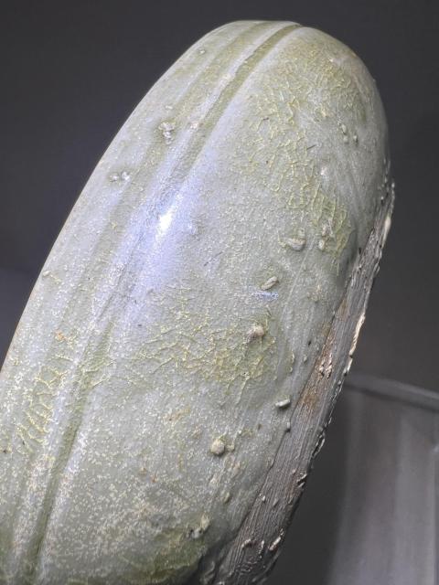 古玩陶瓷兩晉·越窯臥狗盤拍賣，當前價格60000元