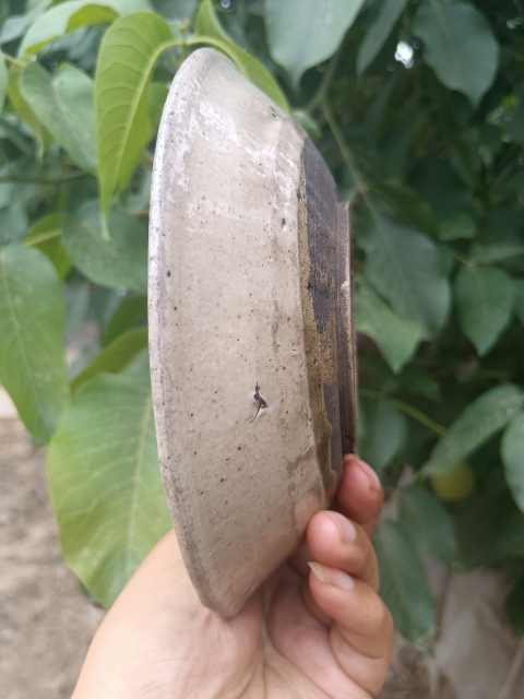 古玩陶瓷元~磁州窯白釉淺碗拍賣,當(dāng)前價格0元