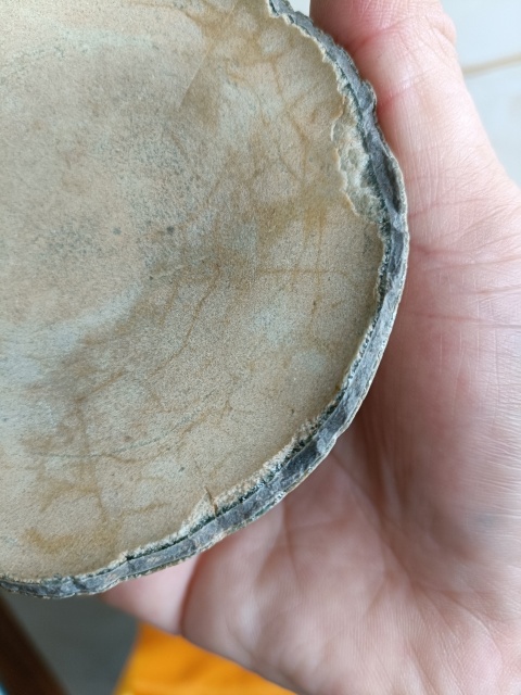 古玩陶瓷南宋龍泉官窯整底標本拍賣，當前價格1980元