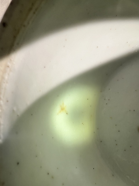 古玩陶瓷清 同治 淺絳彩花鳥詩文刨花缸拍賣,當(dāng)前價格980元