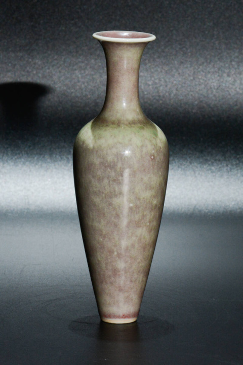 古玩陶瓷晚清 豇豆紅釉柳葉瓶拍賣,當前價格21888元