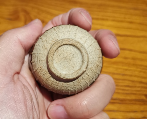 古玩陶瓷元末明初·褐釉瓔珞紋茶盞拍賣,當前價格3888元