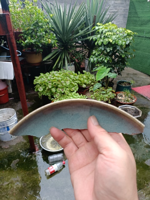 古玩陶瓷五大名窯之一鈞窯天藍釉標本拍賣,當前價格298元