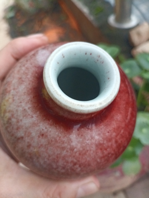 古玩陶瓷非常好看紅釉梅瓶拍賣,當前價格0元