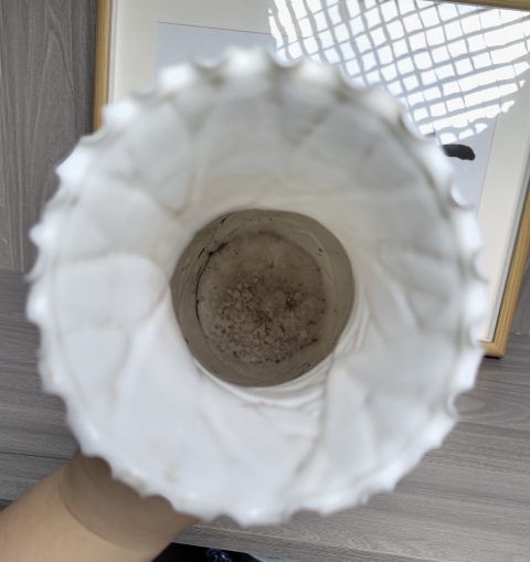 古玩陶瓷德化白瓷蓮葉池魚賞瓶拍賣,當前價格390元