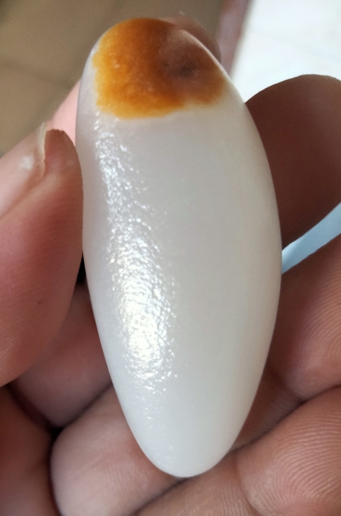古玩玉器和田玉原石拍賣(mài)，當(dāng)前價(jià)格260元