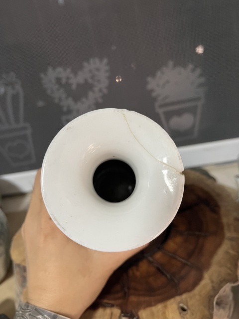 古玩陶瓷晚清名家淺降彩花鳥(niǎo)紋瓶拍賣,當(dāng)前價(jià)格650元