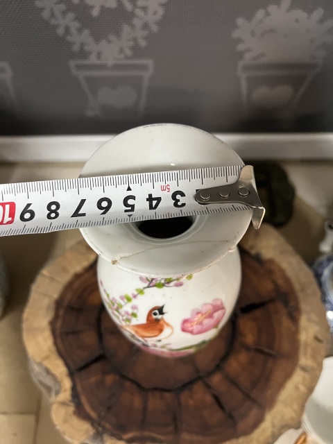 古玩陶瓷晚清名家淺降彩花鳥(niǎo)紋瓶拍賣,當(dāng)前價(jià)格650元