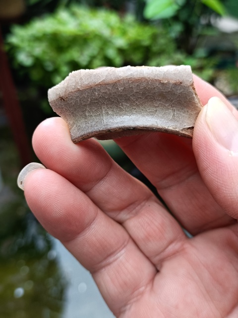 古玩陶瓷南宋龍泉官冰片紋標(biāo)本拍賣,當(dāng)前價(jià)格299元