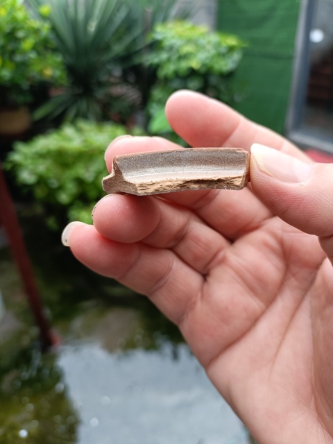古玩陶瓷南宋龍泉官冰片紋標(biāo)本拍賣,當(dāng)前價(jià)格299元