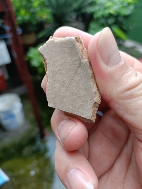 古玩陶瓷南宋龍泉官冰片紋標(biāo)本拍賣,當(dāng)前價(jià)格299元