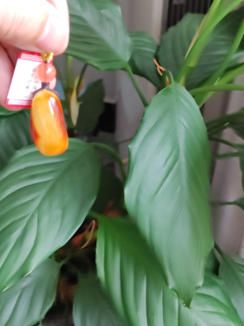 古玩玉器蜜蠟吊墜拍賣,當(dāng)前價(jià)格160元